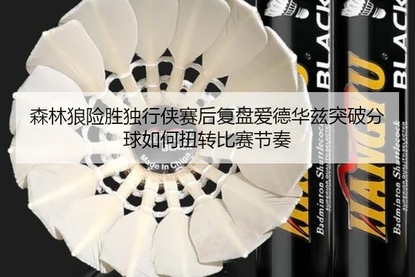 森林狼险胜独行侠赛后复盘爱德华兹突破分球如何扭转比赛节奏